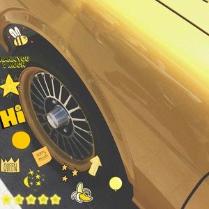 Meet your Posher, Kyra